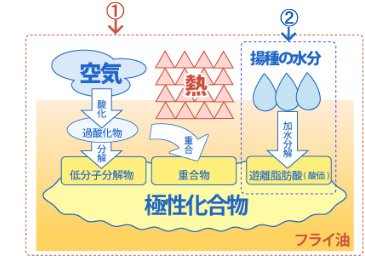 炸油測試計 炸油品質劣化的原因