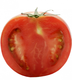 tomato