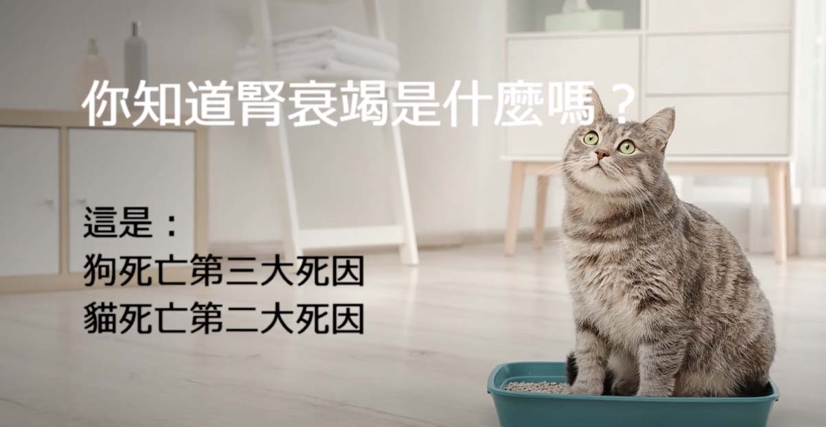 ATAGO 貓狗尿液比重計 PAL-DOG&CAT