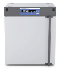 精密烘箱 IKA Oven 125 basic dry